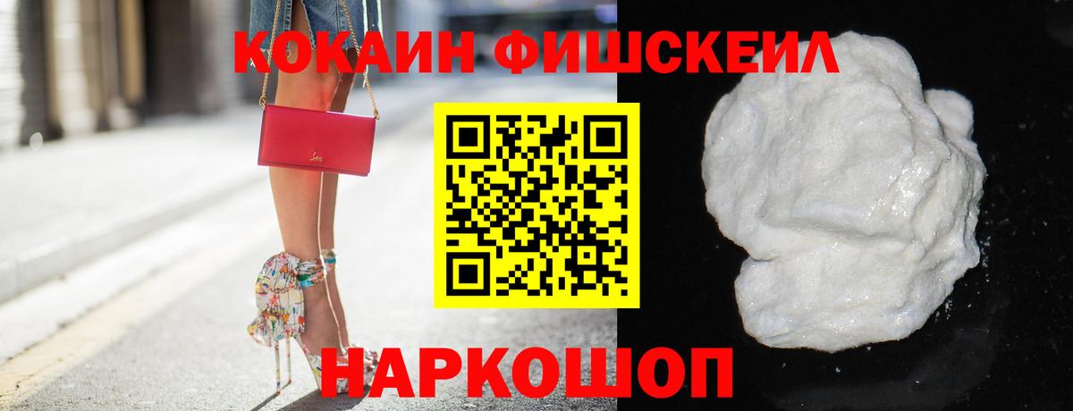 COCAIN Fish Scale  Вход с VPN  Арзамас  COCAIN Эквадор 