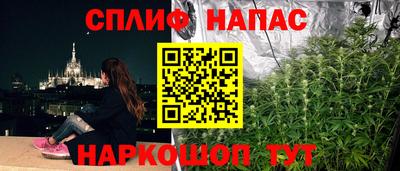 крисы Кинель