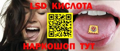 крисы Кинель