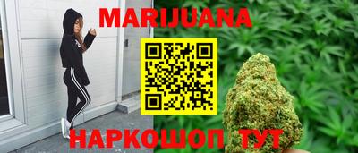 стаф Кингисепп