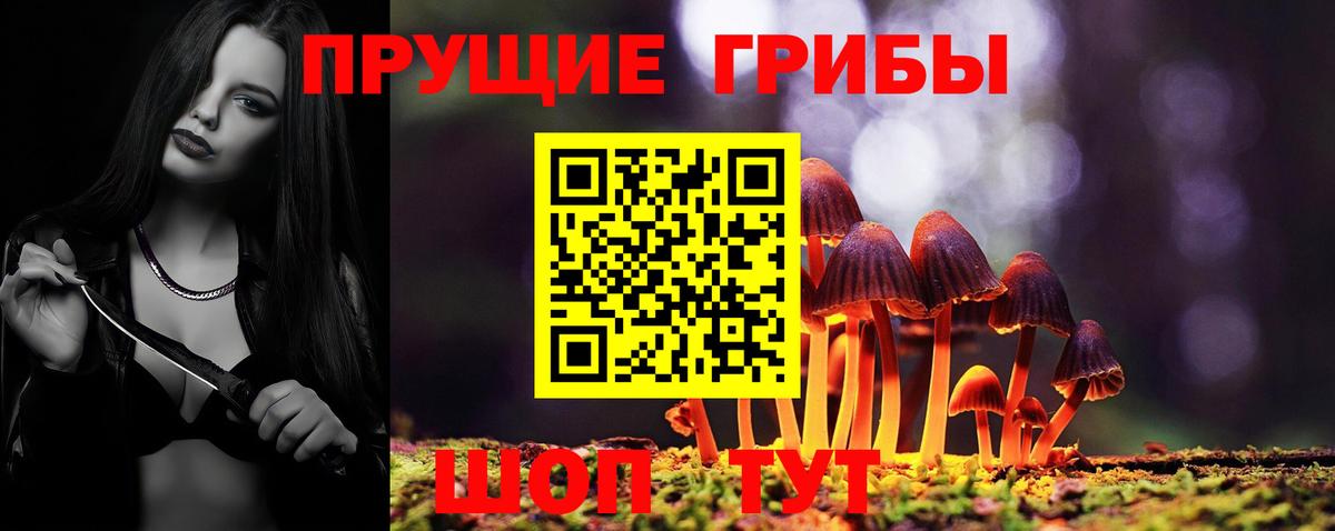 Галлюциногенные грибы Psilocybine cubensis  Вход с VPN  Арзамас 